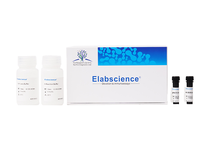 Caspase-product-foto